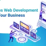 web development